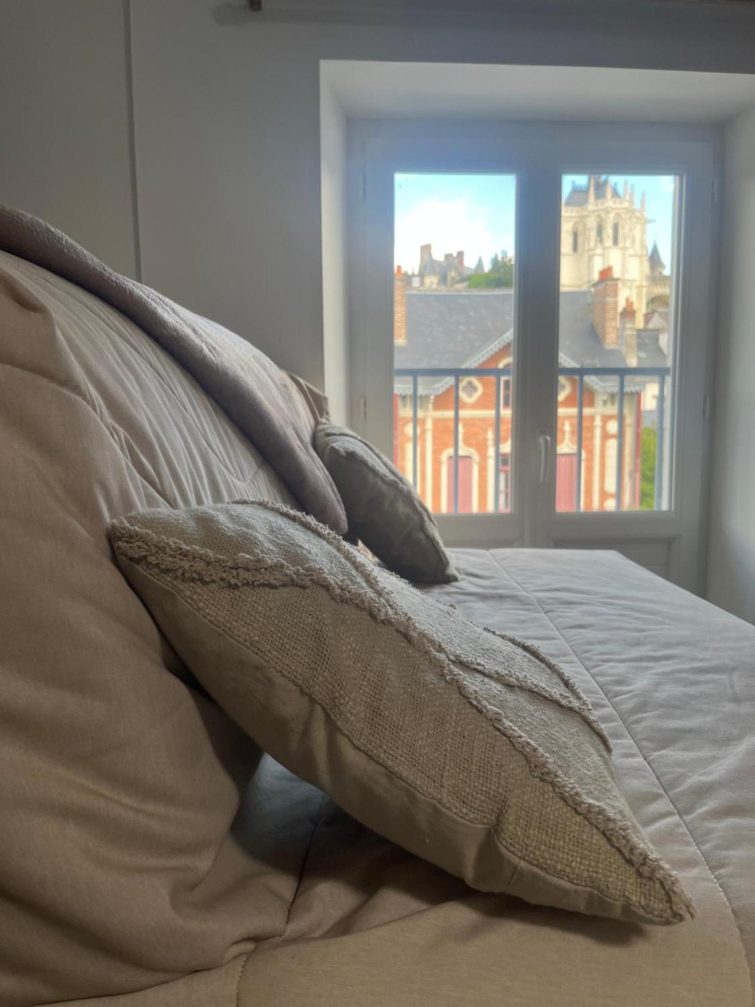 Sejour De Charme Au Boheme Apartment Amboise Bagian luar foto